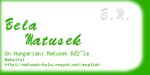 bela matusek business card